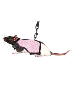 Soft Material Guinea Pig Harness With Lead