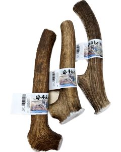 Akela Red Deer Antler XL ~22cm ~250g