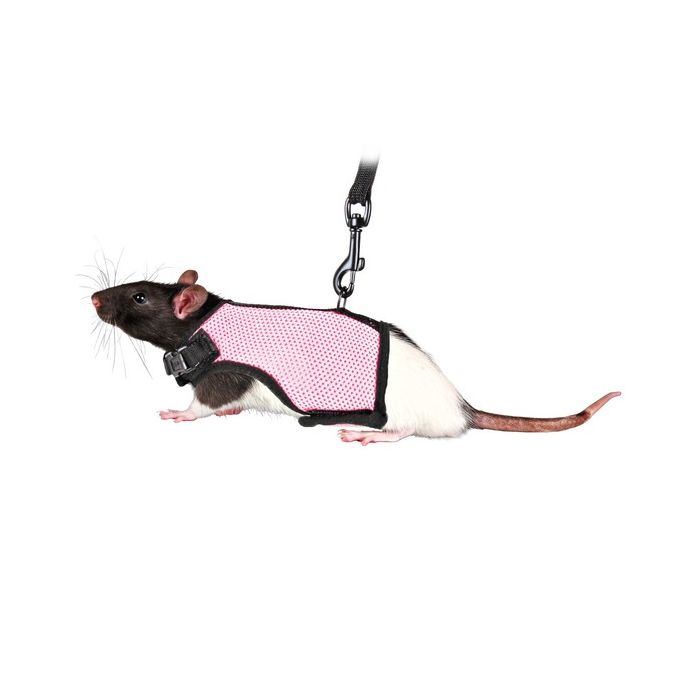 Soft Material Guinea Pig Harness With Lead