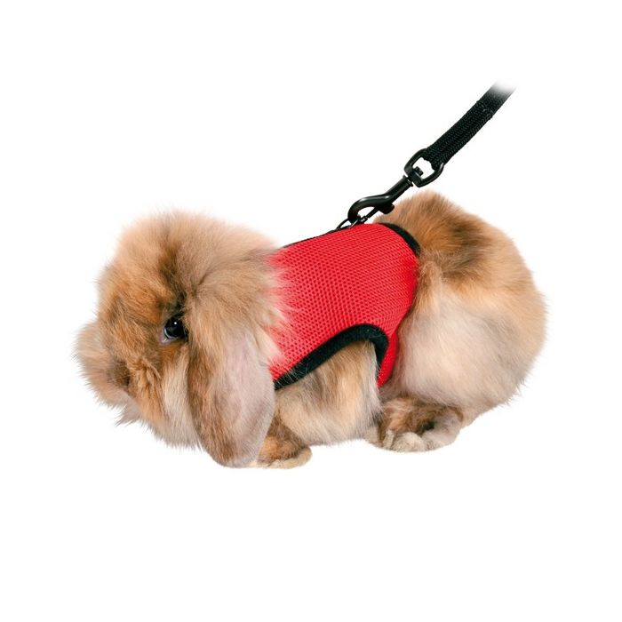 Soft Material Rabbit Harness With Lead