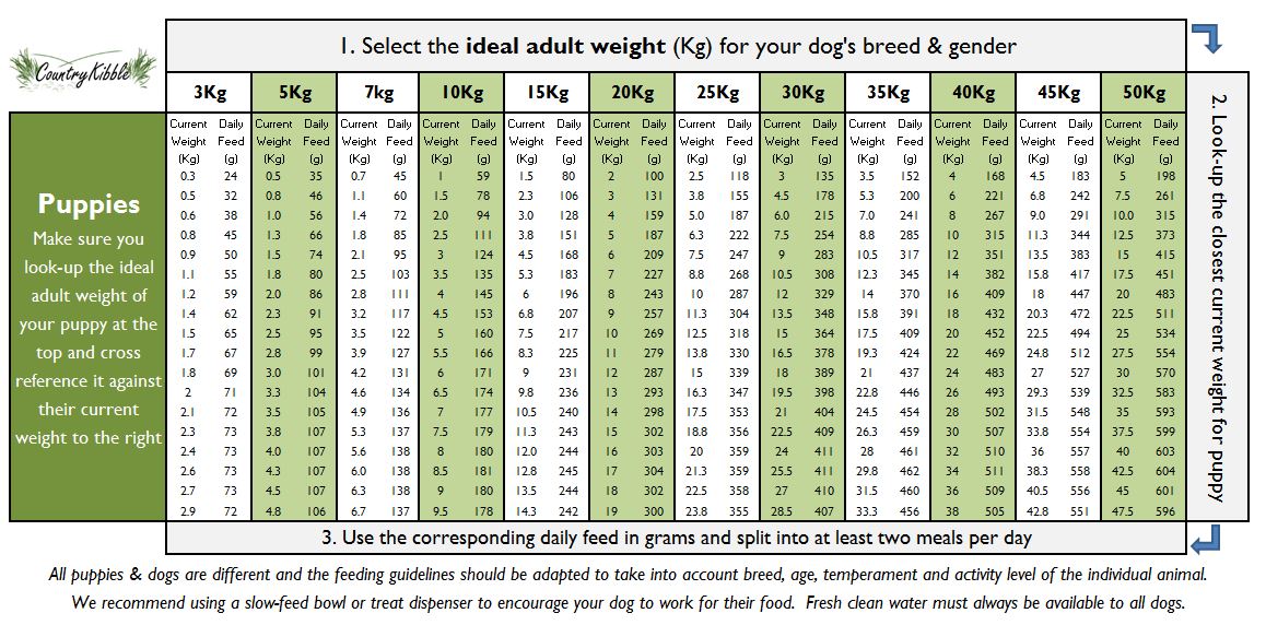 Feeding Guide Kibble