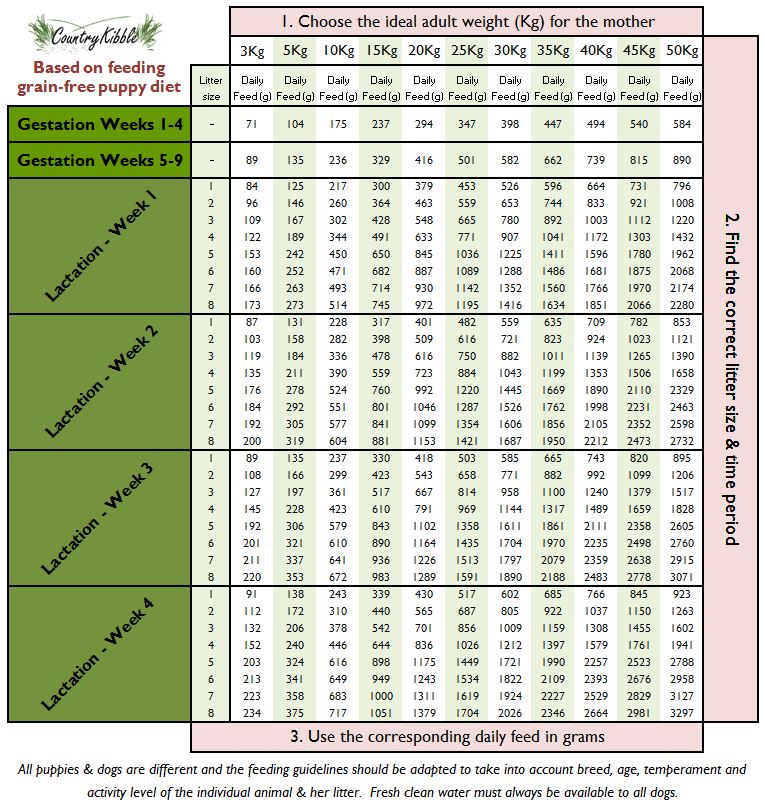 Country Kibble Breeder Feeding Guide